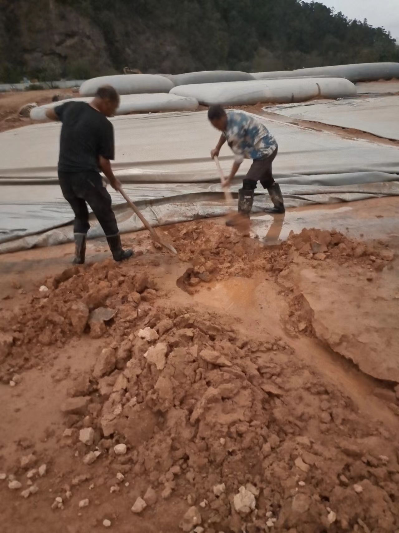 精准一码买资料