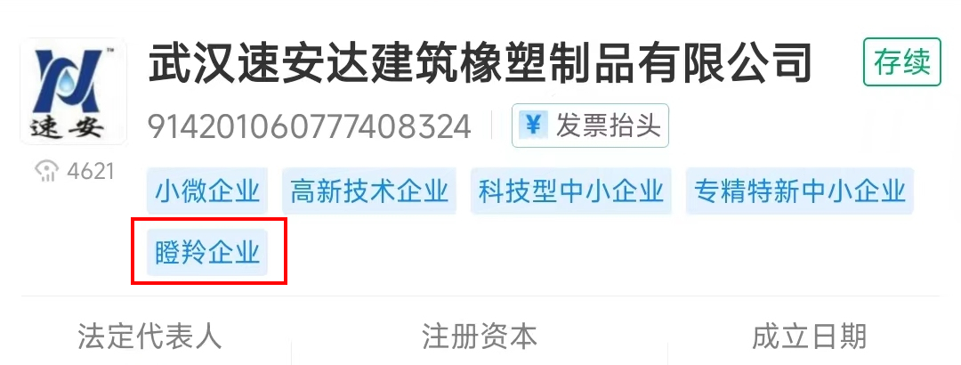 精准一码买资料